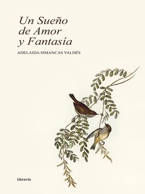 Un sueño de Amor y Fantasía - ebook